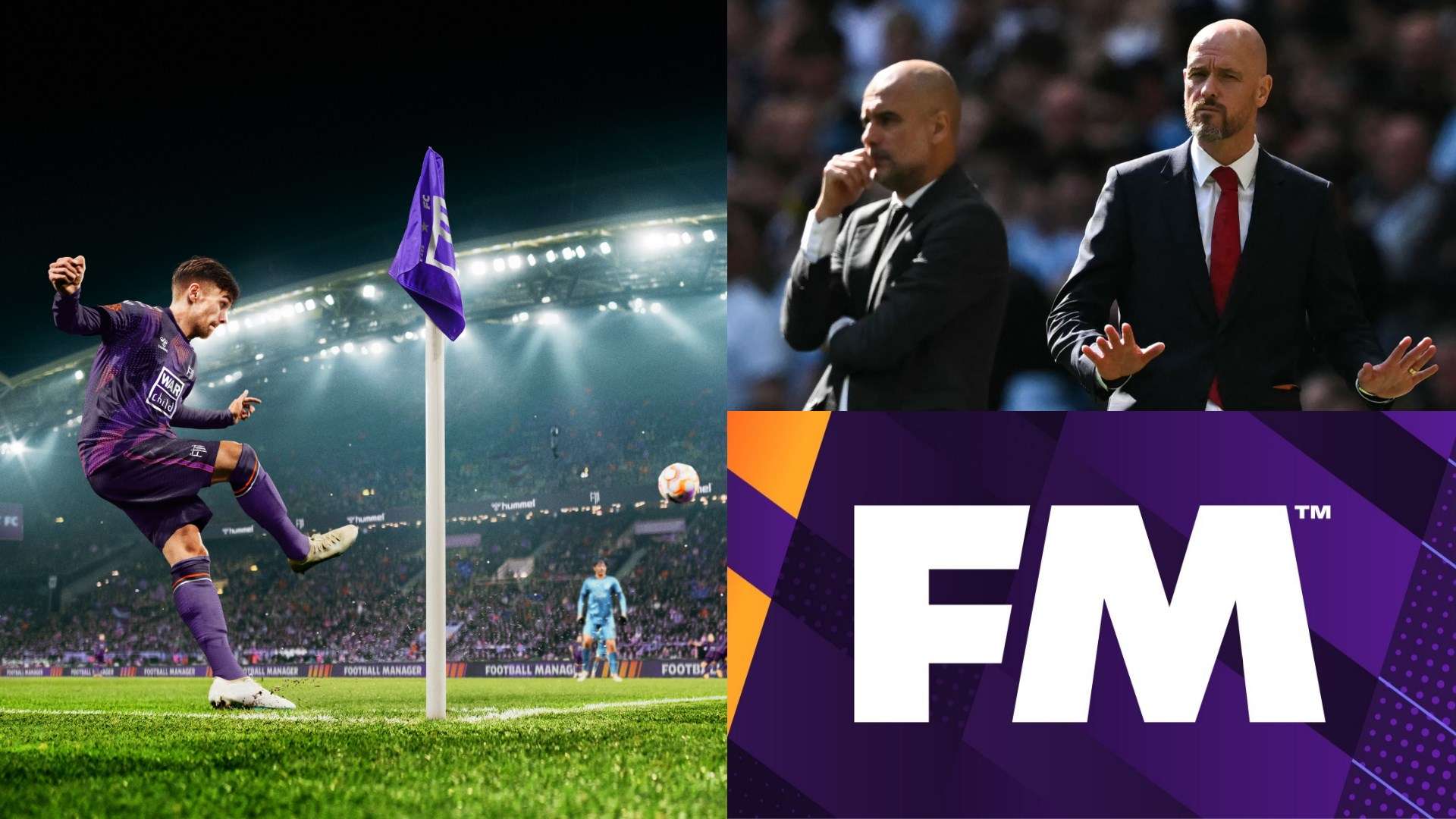 了新的高度 了新的高度