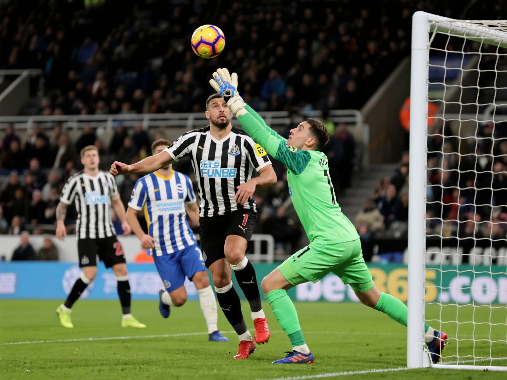 通过引进年 通过引进年